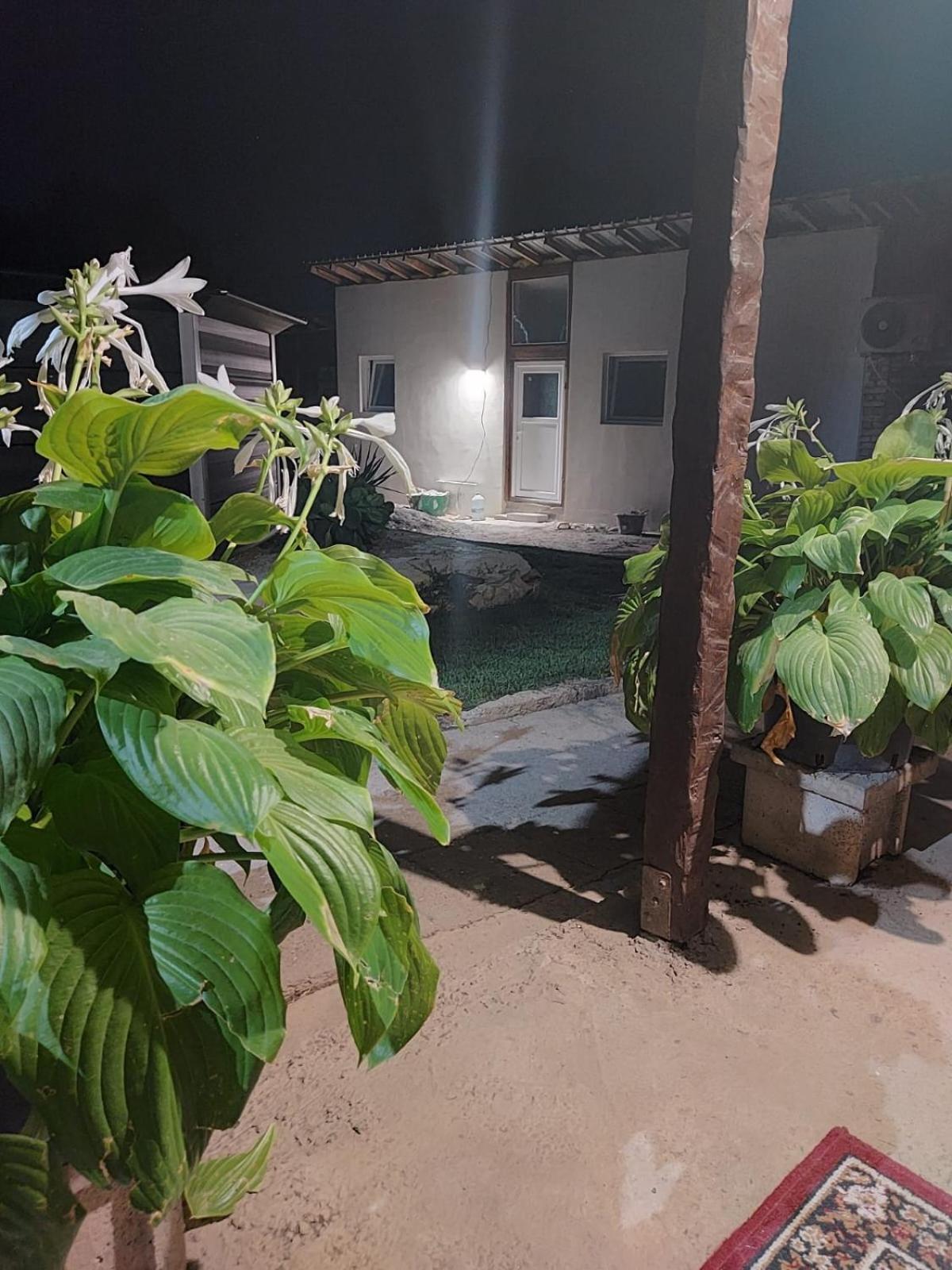 Lymore Chalet Palamarza